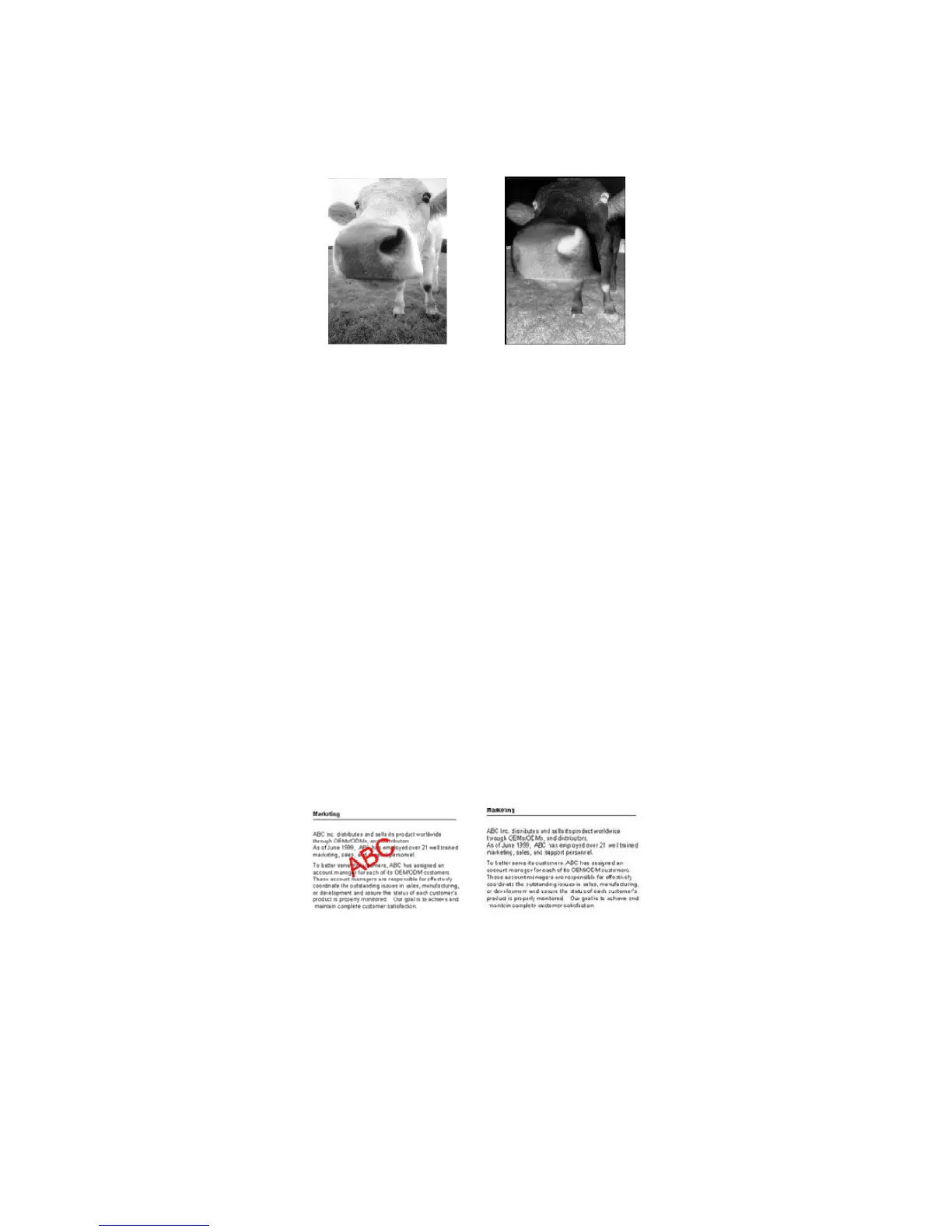Page #50 background image