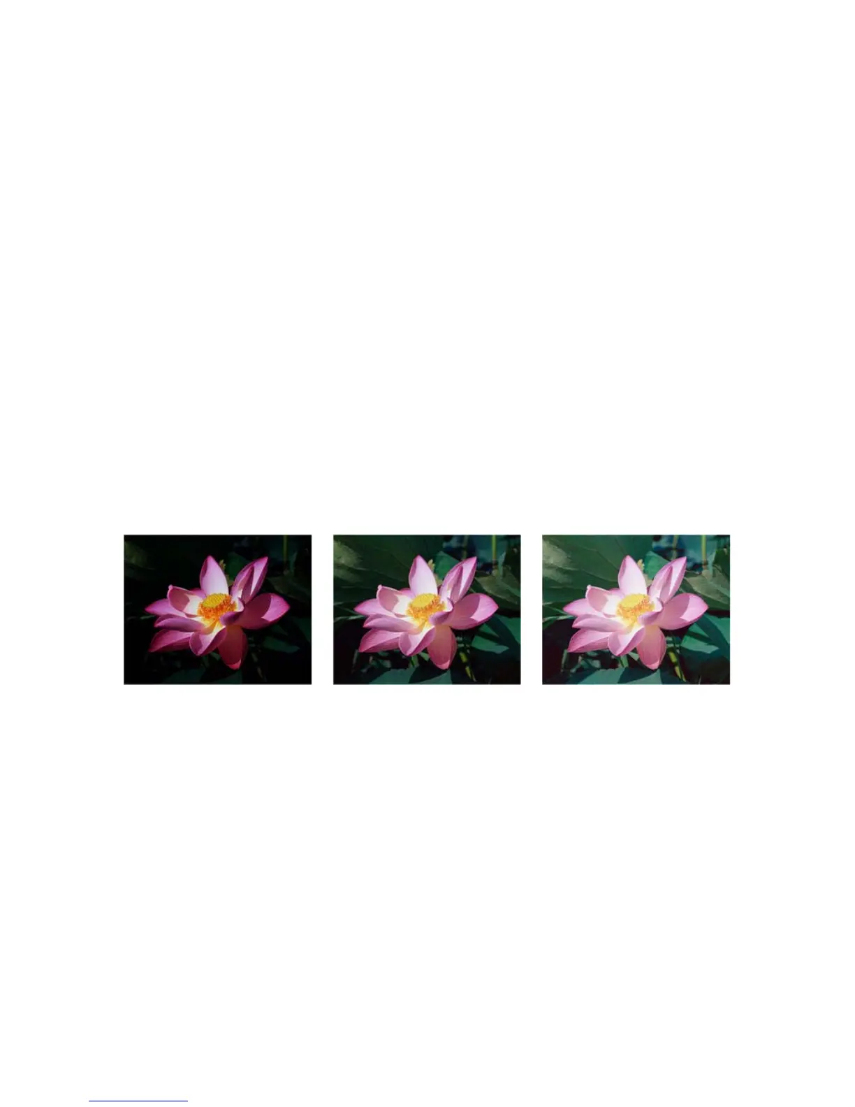 Page #150 background image
