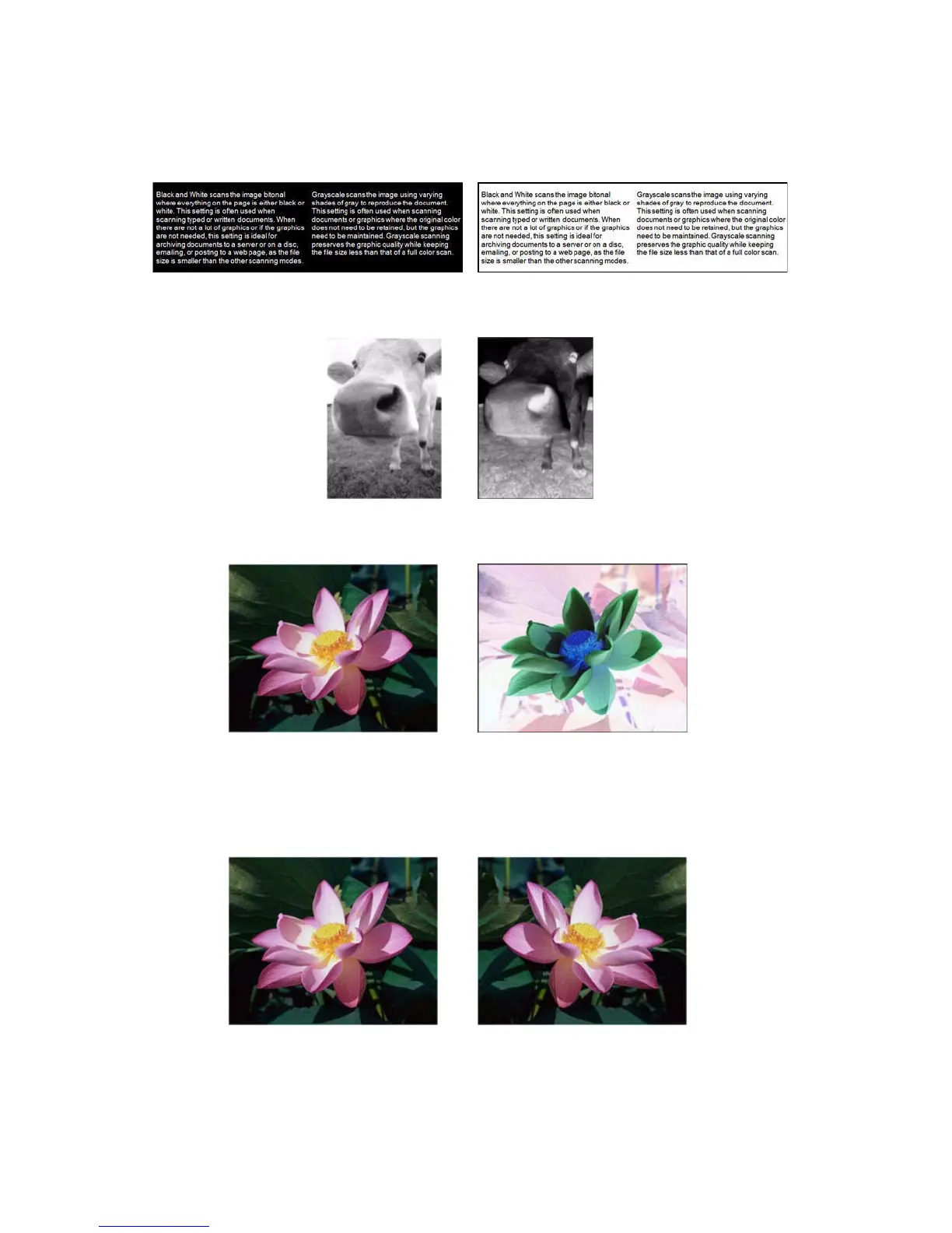 Page #151 background image