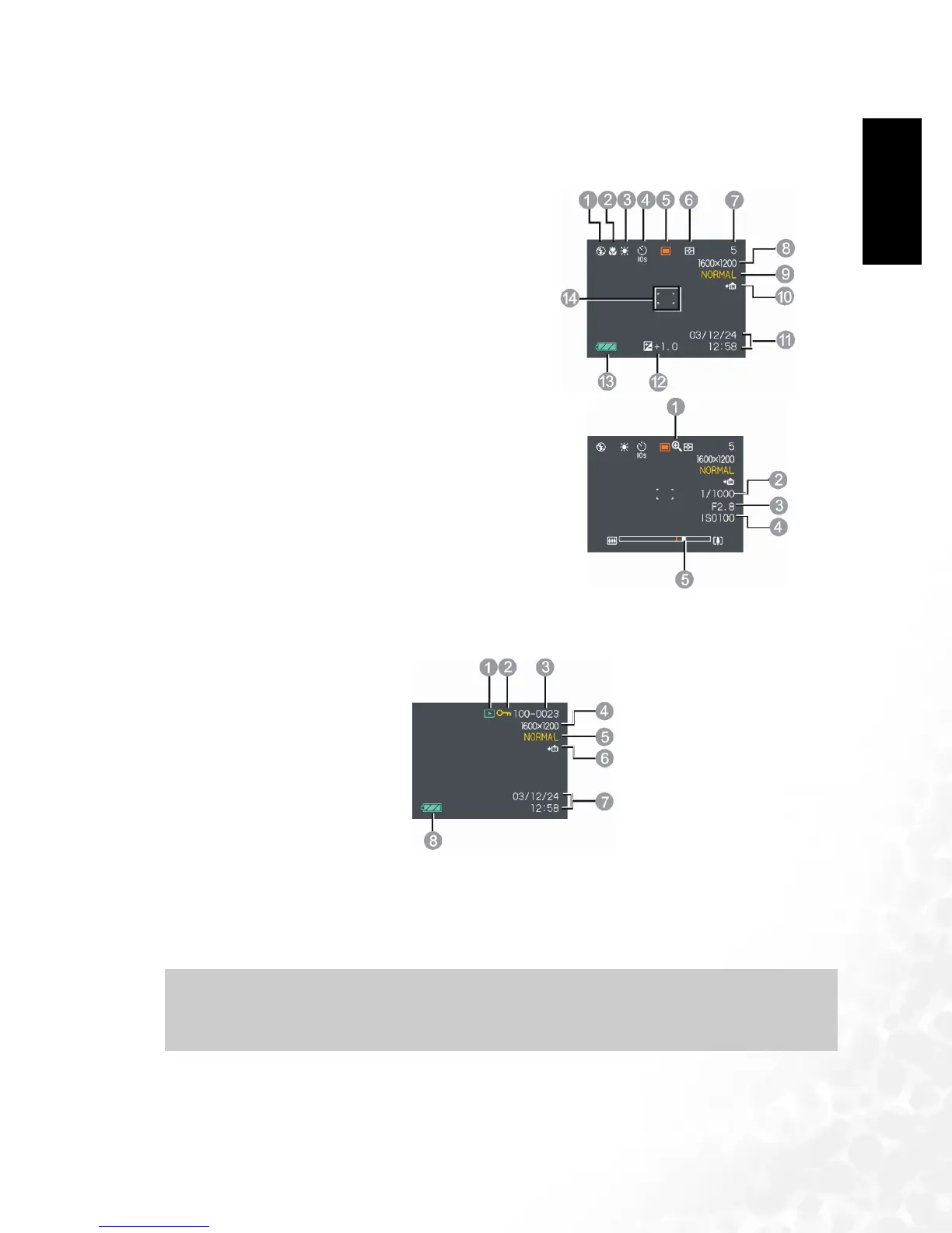 Page #7 background image
