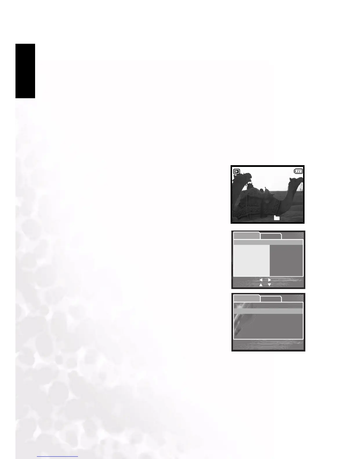 Page #28 background image
