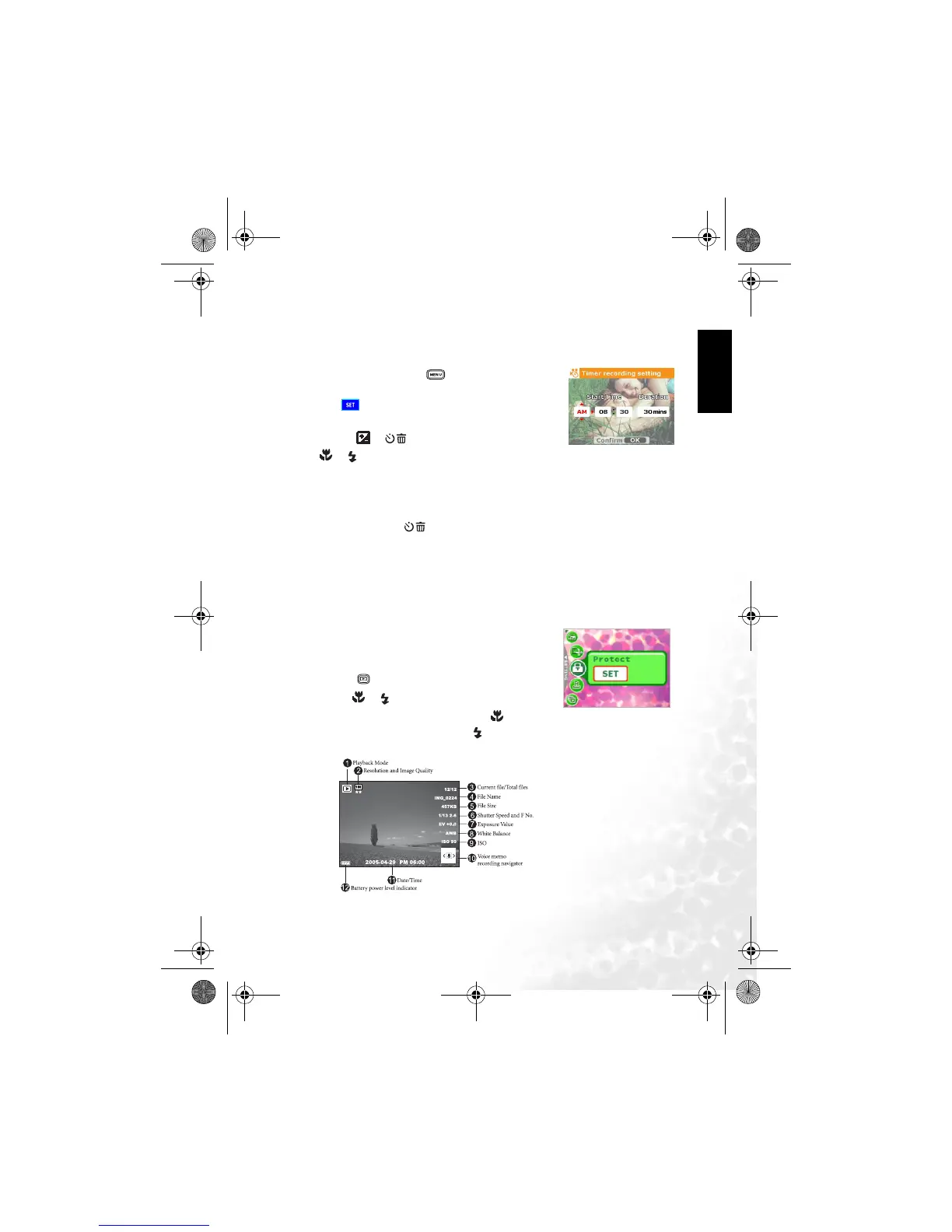 Page #19 background image