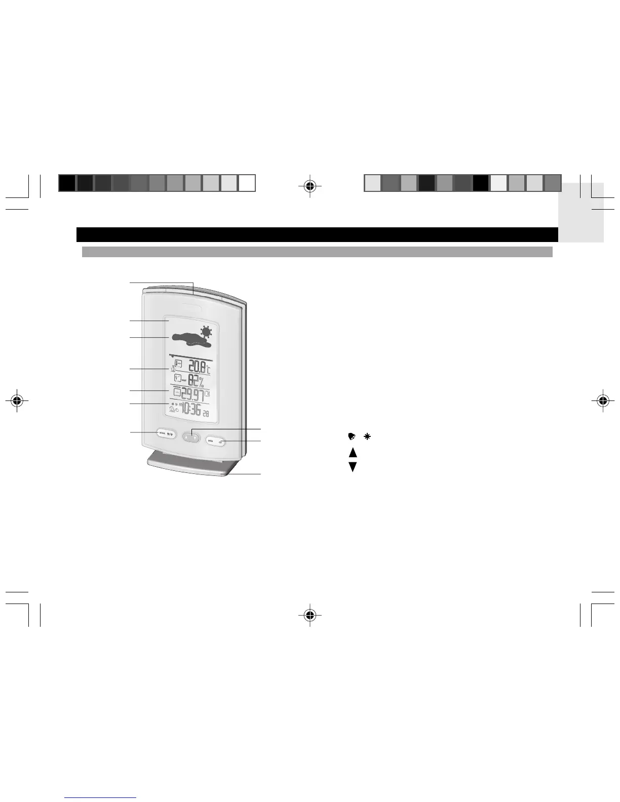 Page #3 background image
