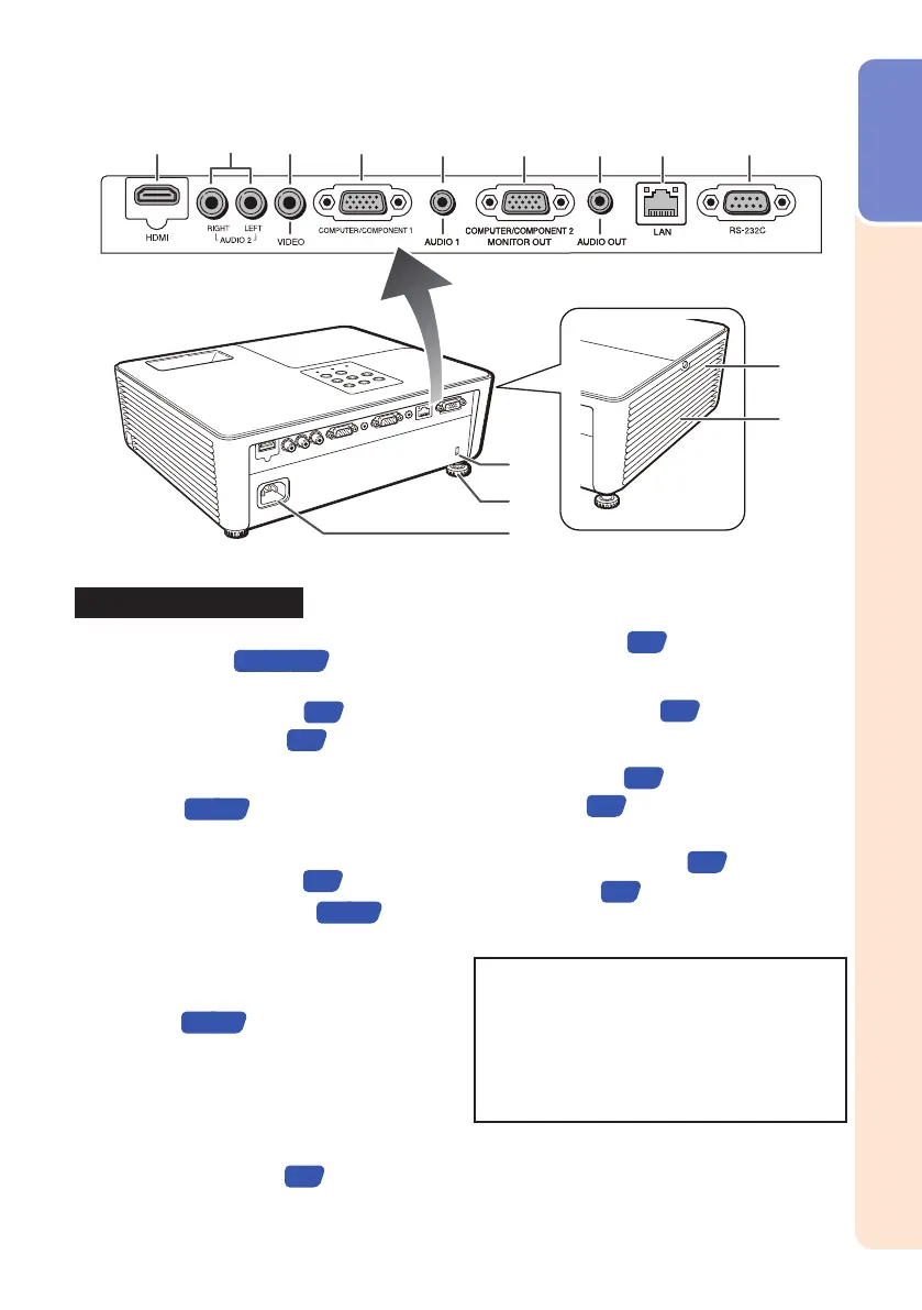 Page #13 background image