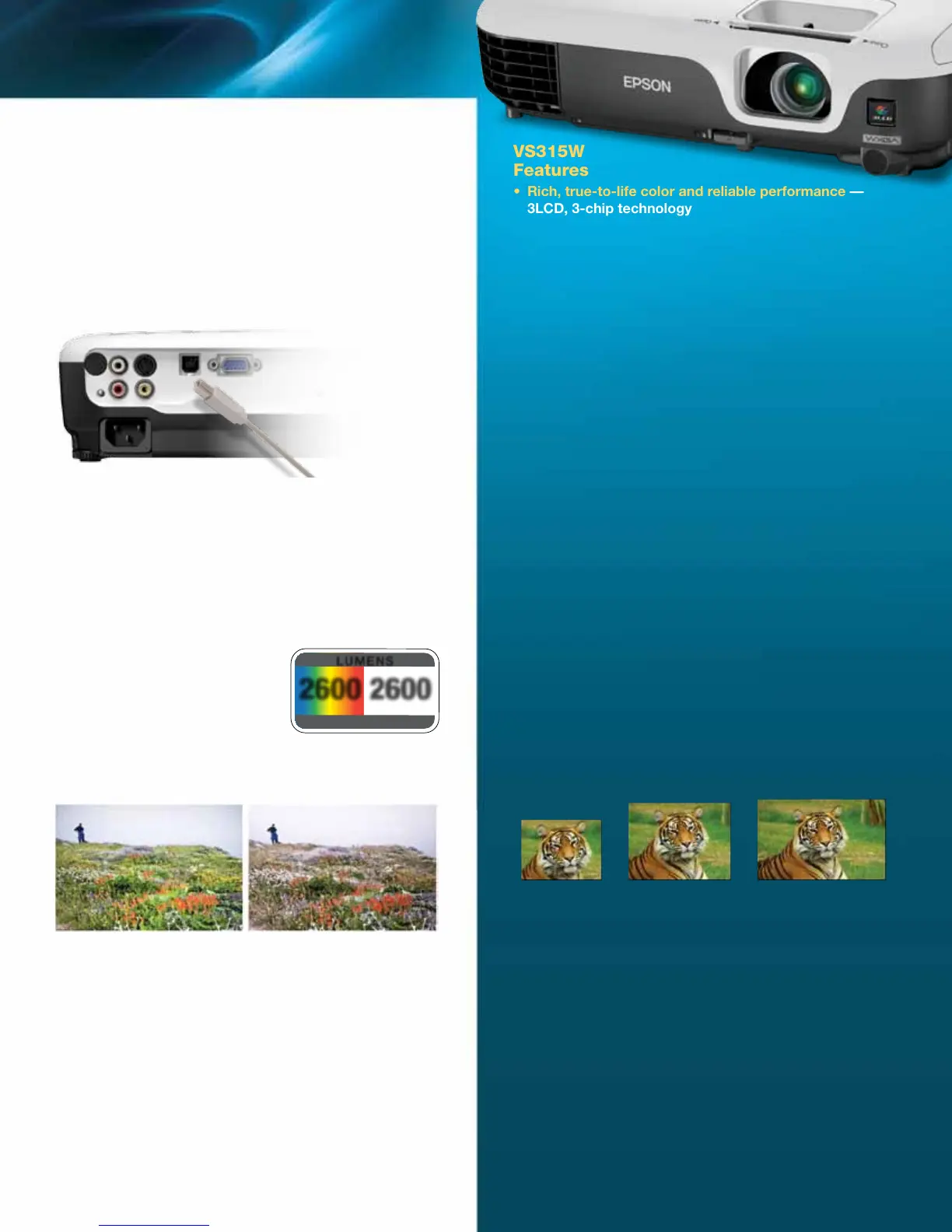 Page #3 background image