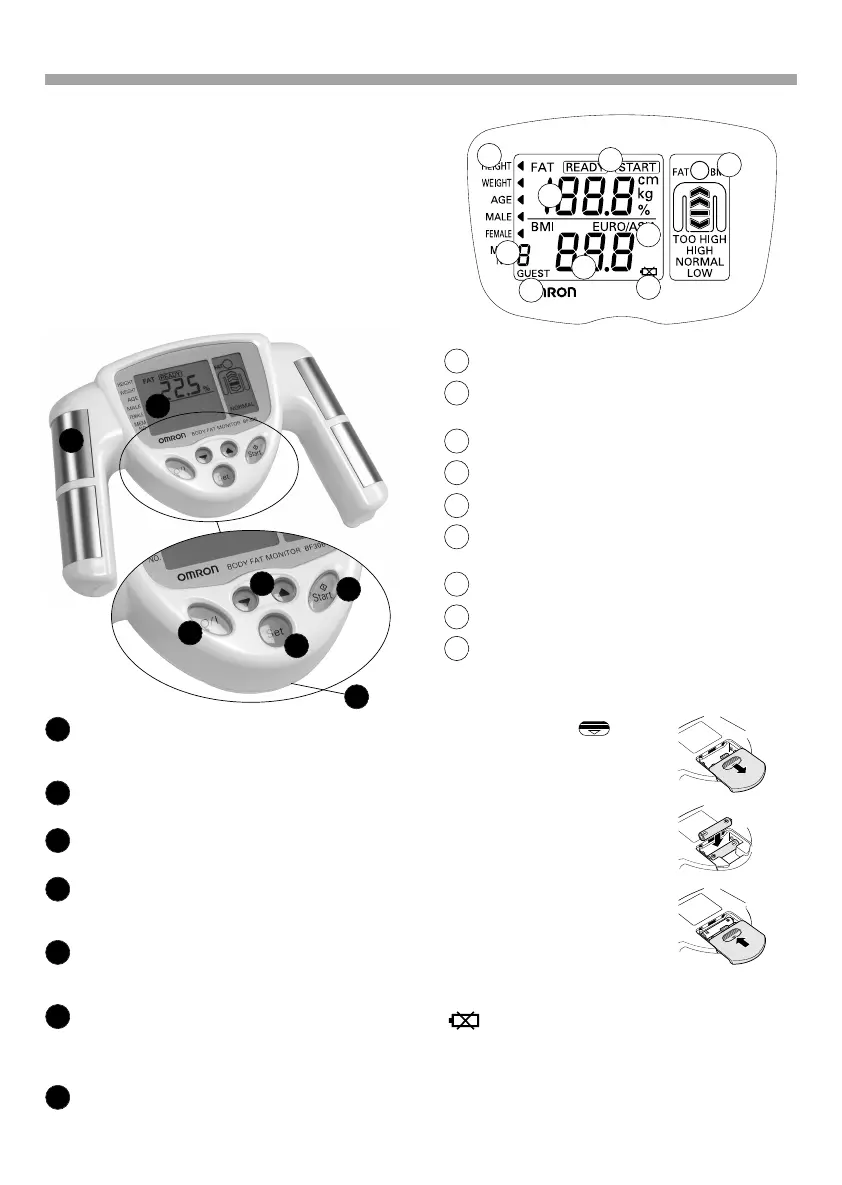 Page #4 background image