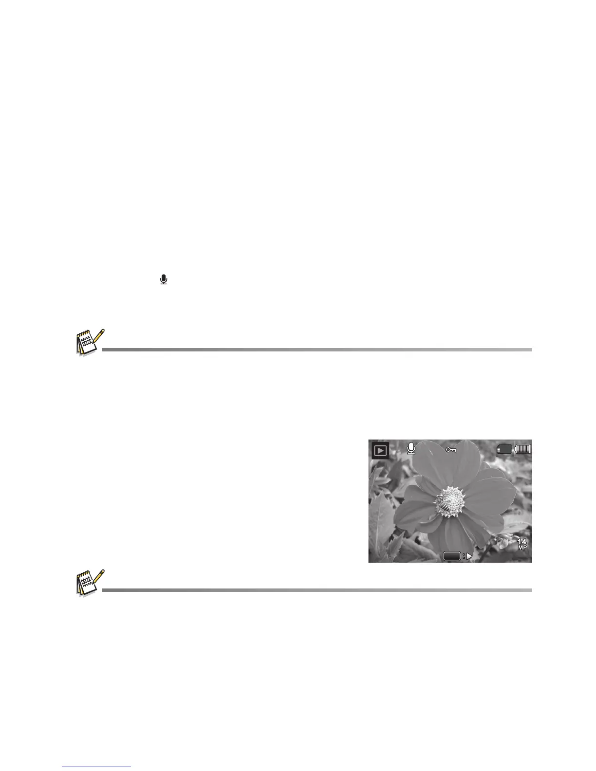 Page #25 background image
