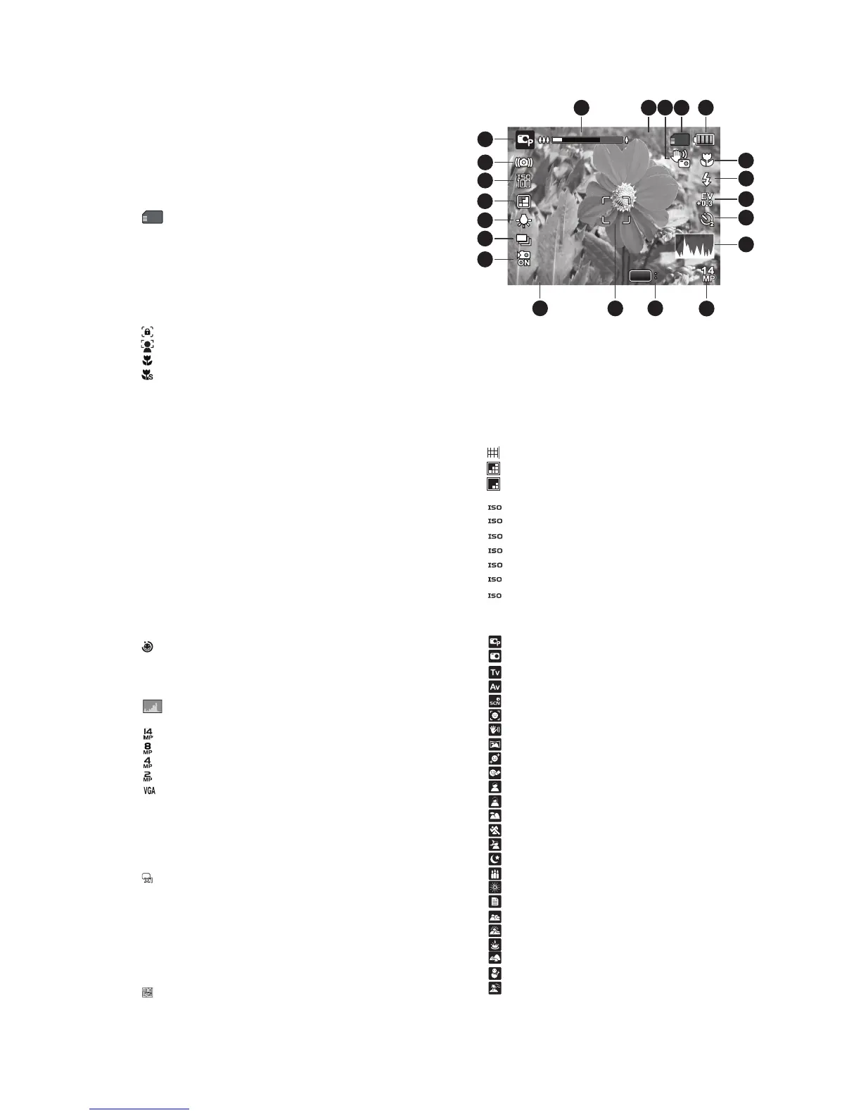 Page #10 background image