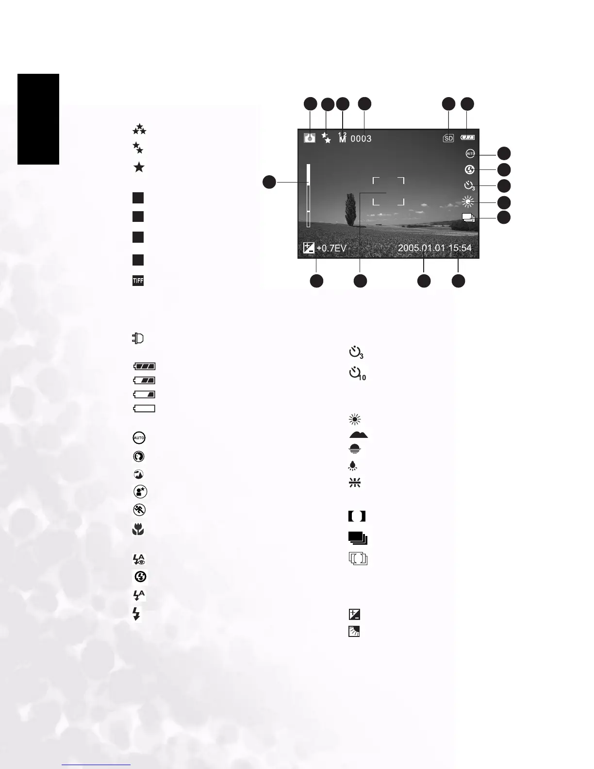 Page #10 background image