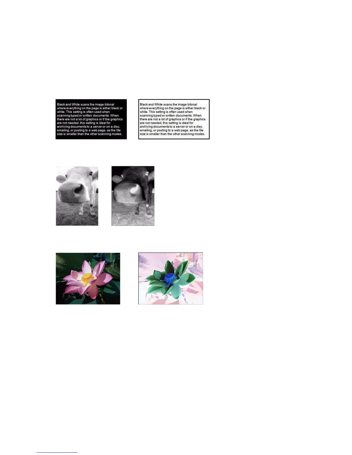 Page #58 background image