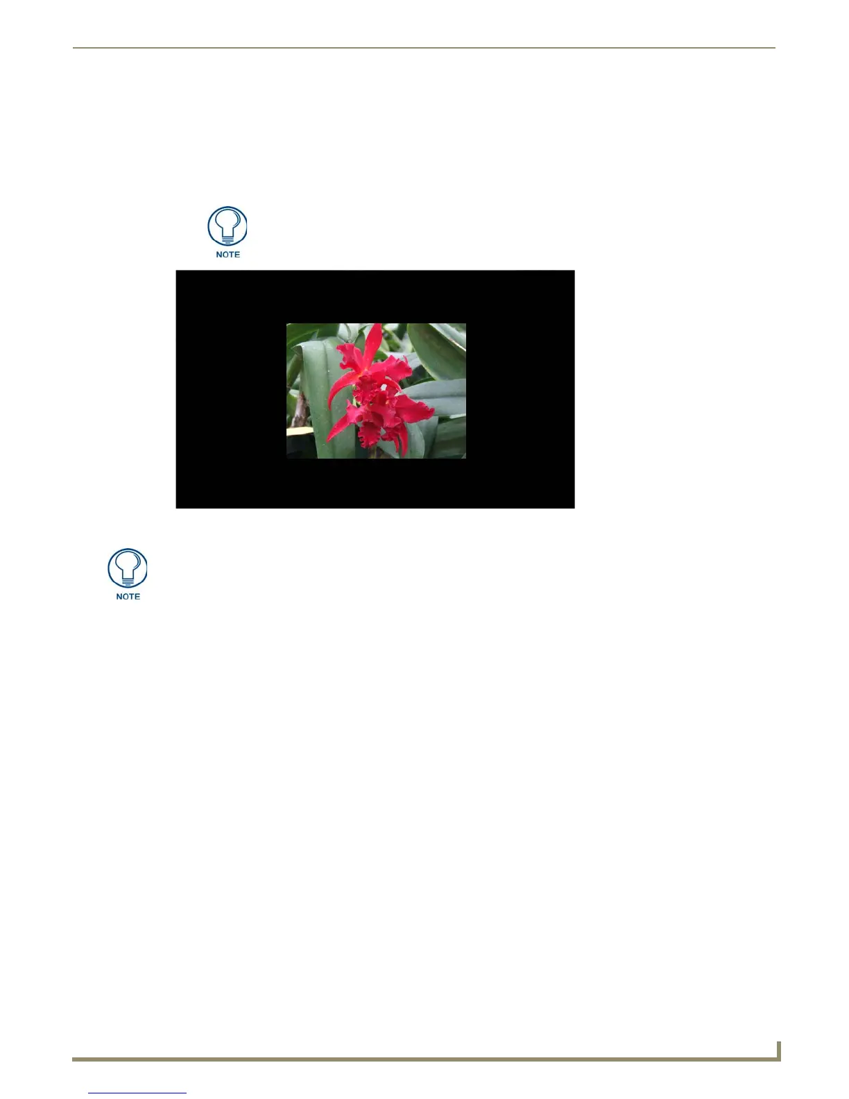 Page #21 background image