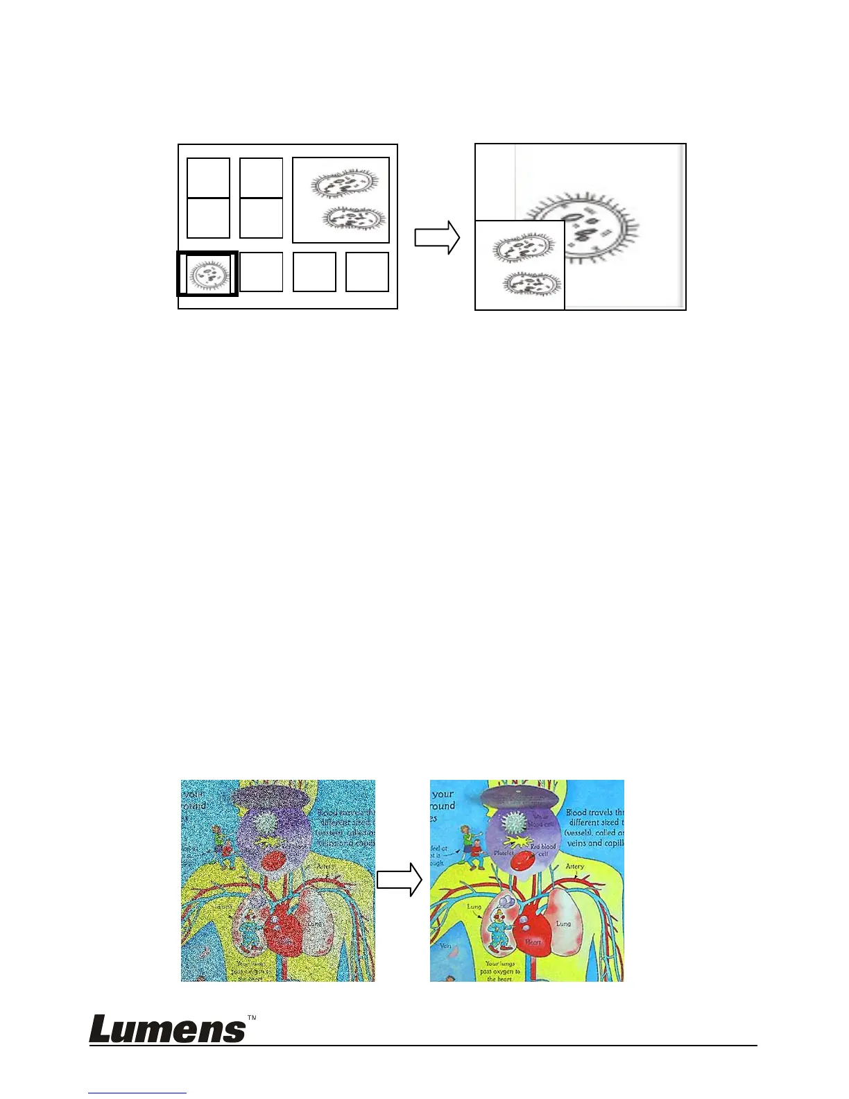 Page #22 background image