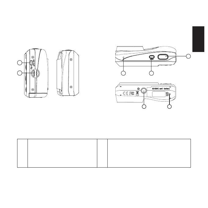 Page #5 background image