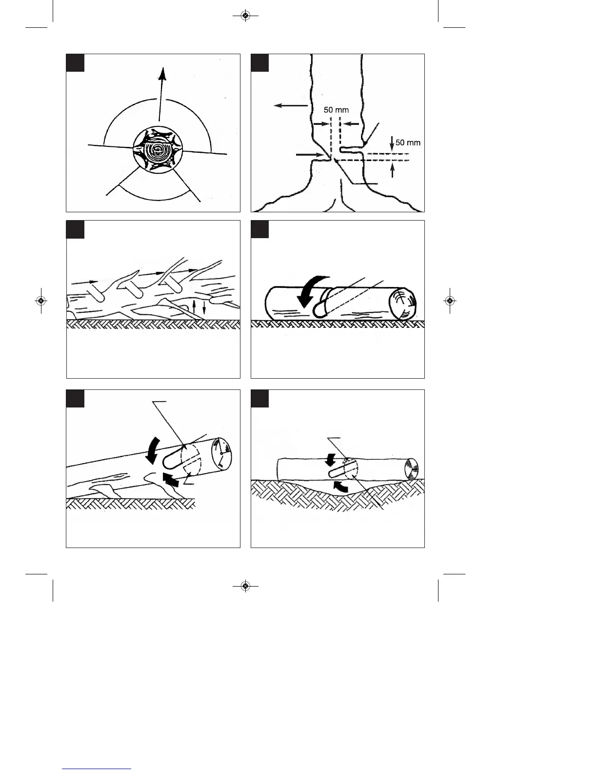 Page #6 background image