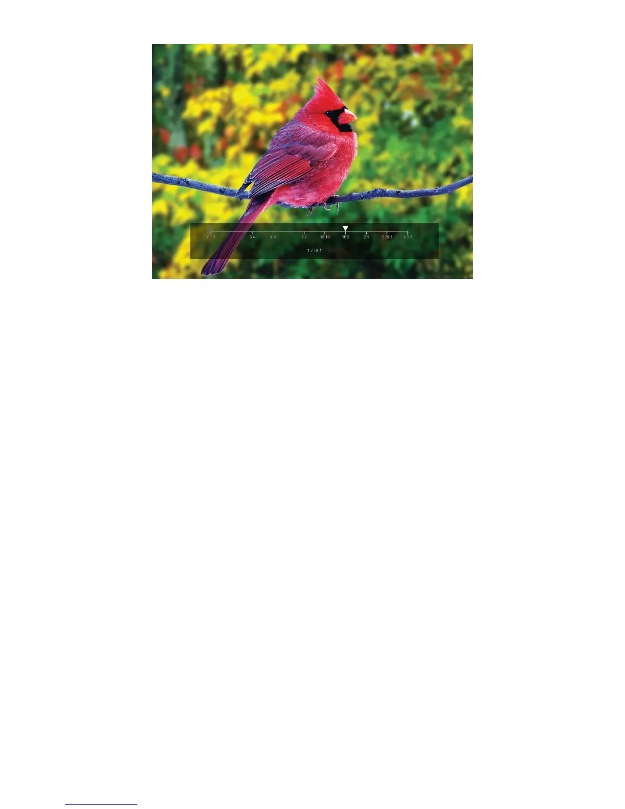 Page #11 background image