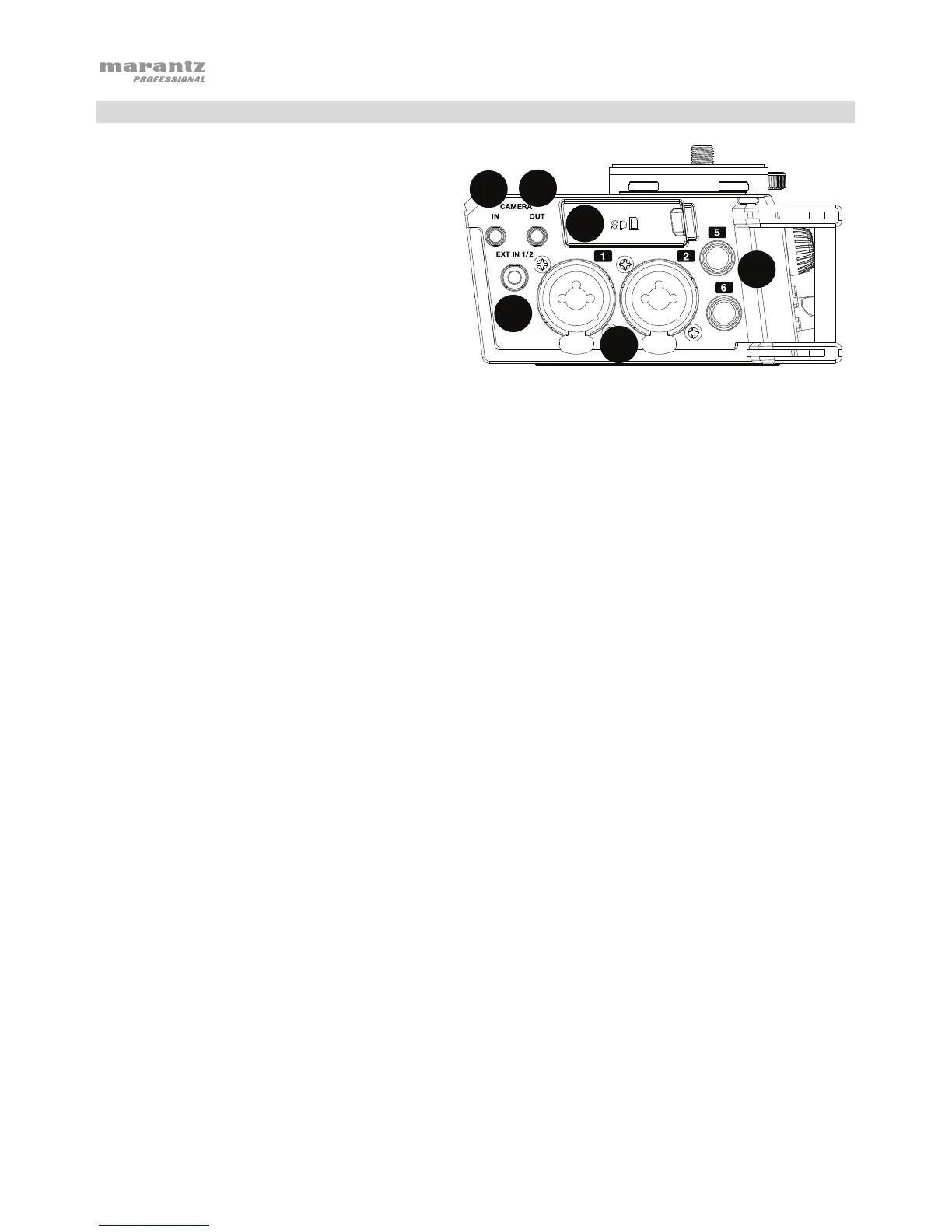 Page #6 background image