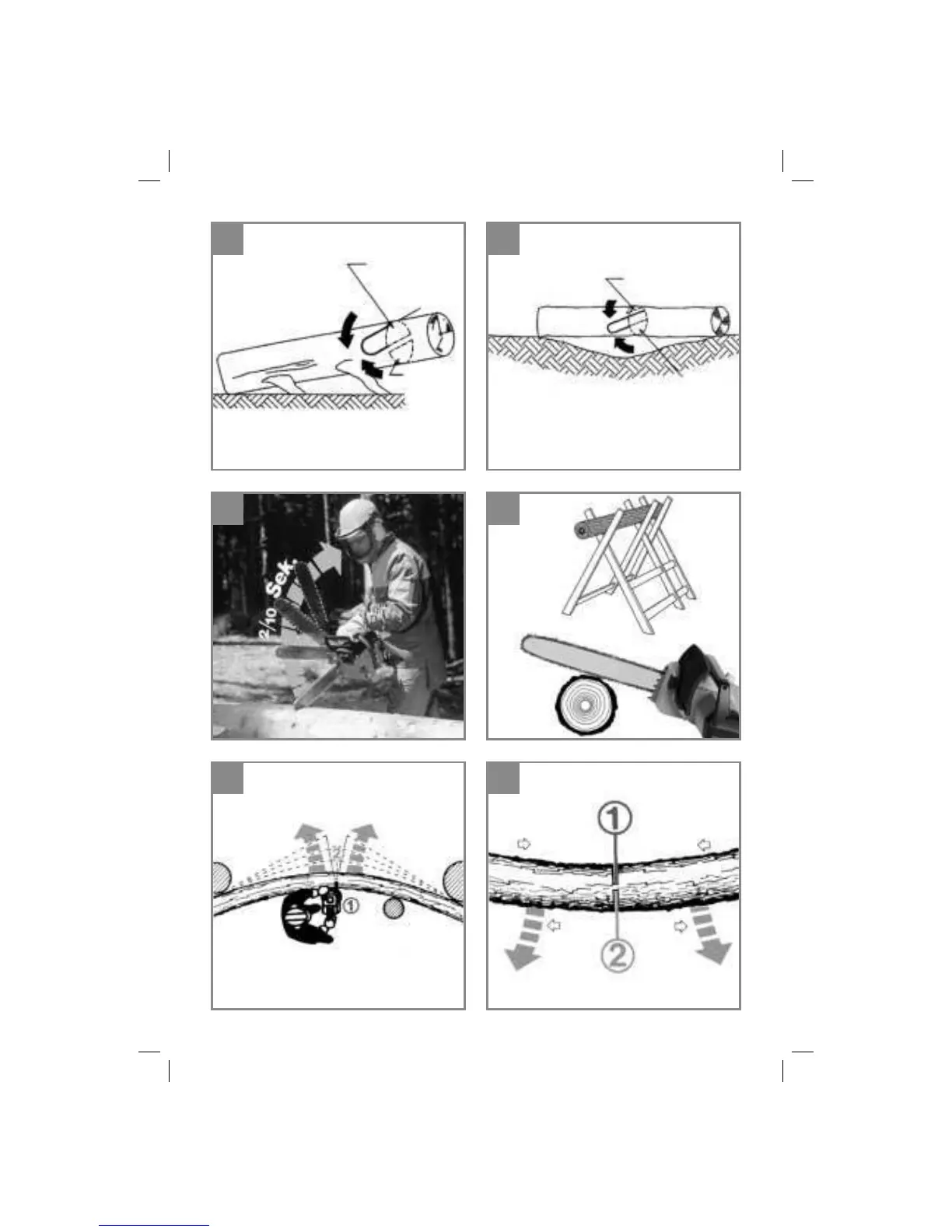 Page #6 background image