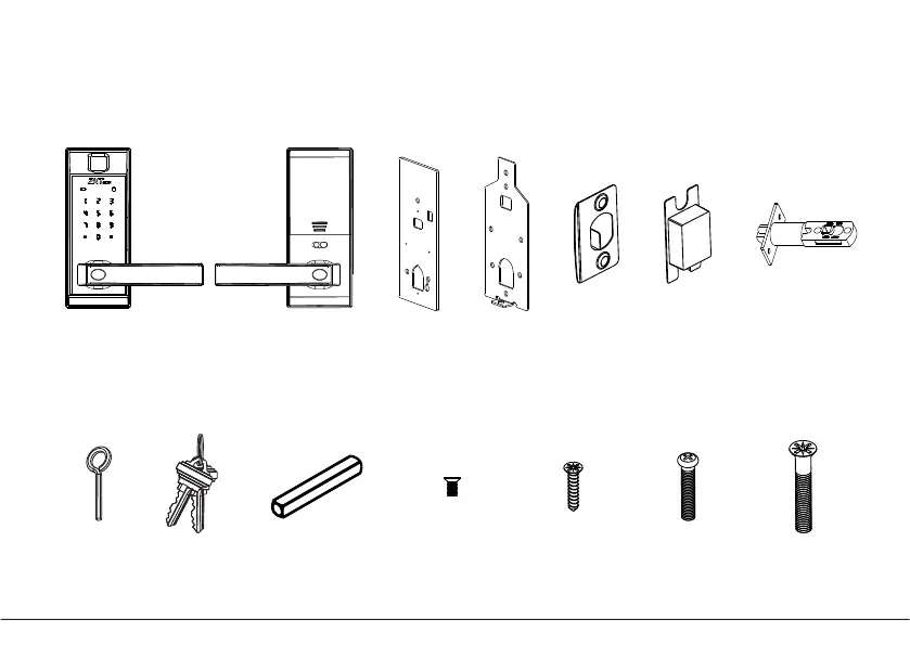 Page #3 background image