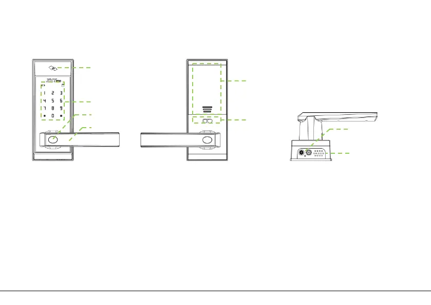 Page #5 background image