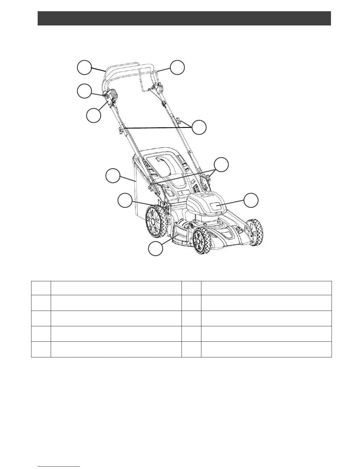 Page #9 background image