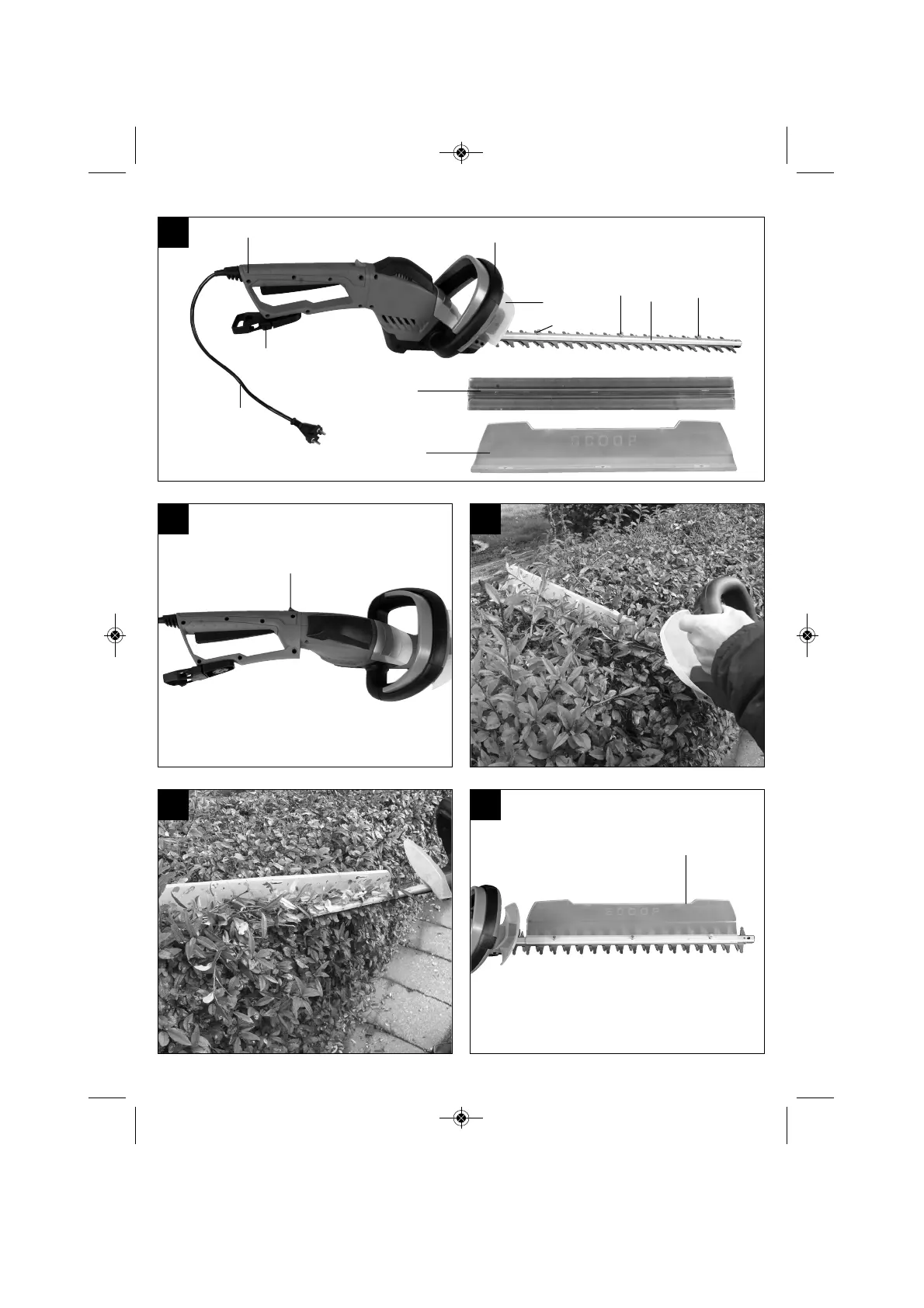 Page #3 background image