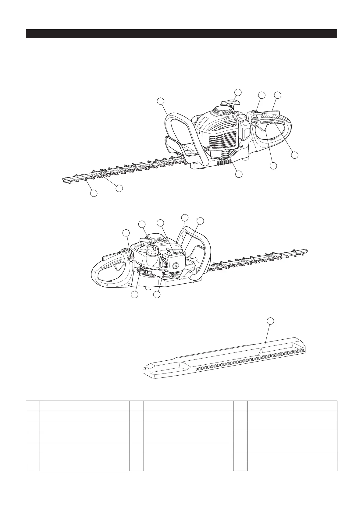 Page #22 background image