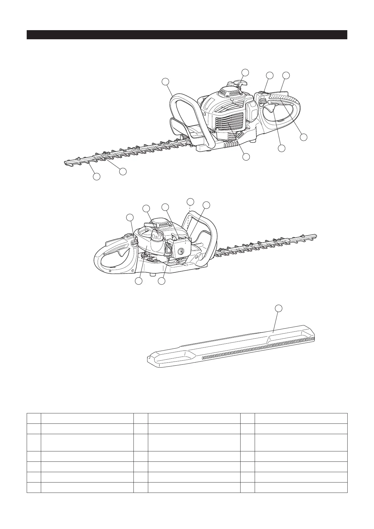 Page #36 background image