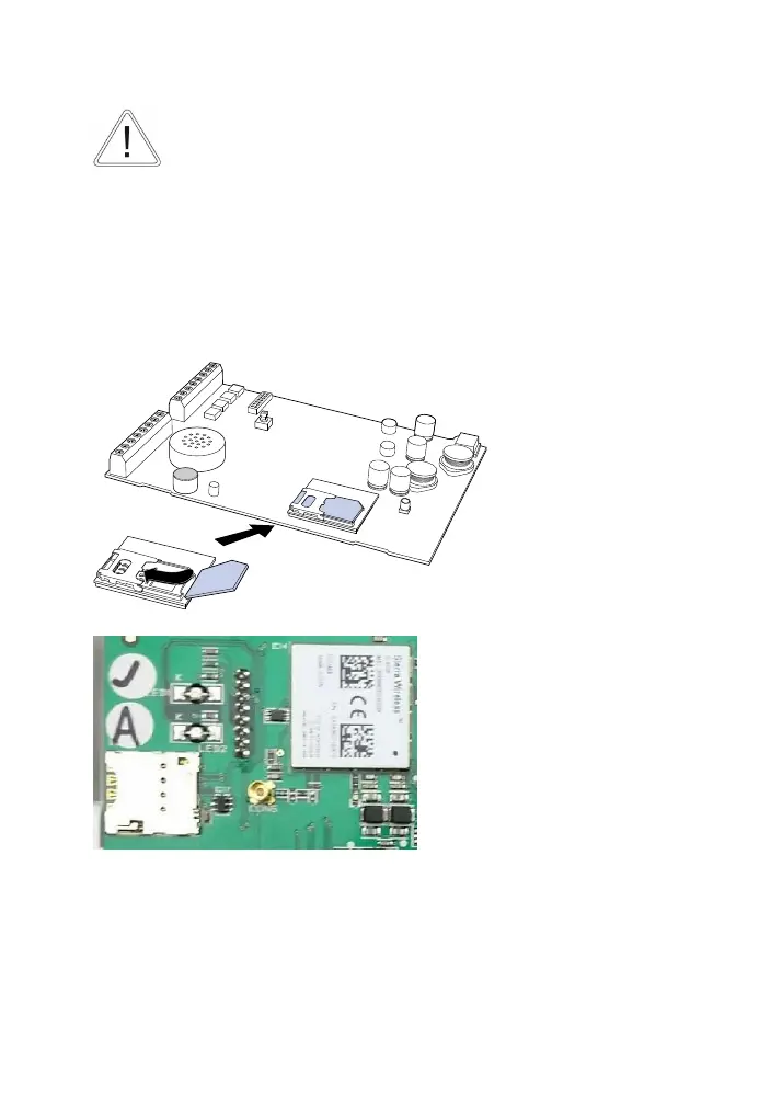Page #242 background image