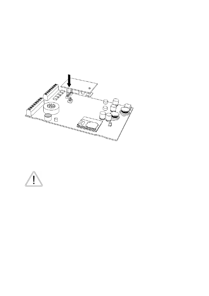 Page #247 background image