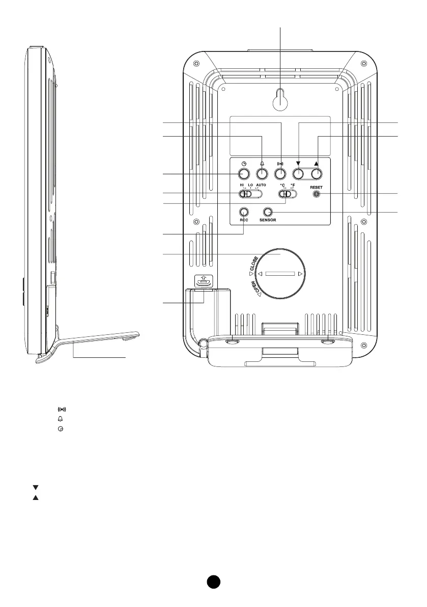 Page #5 background image