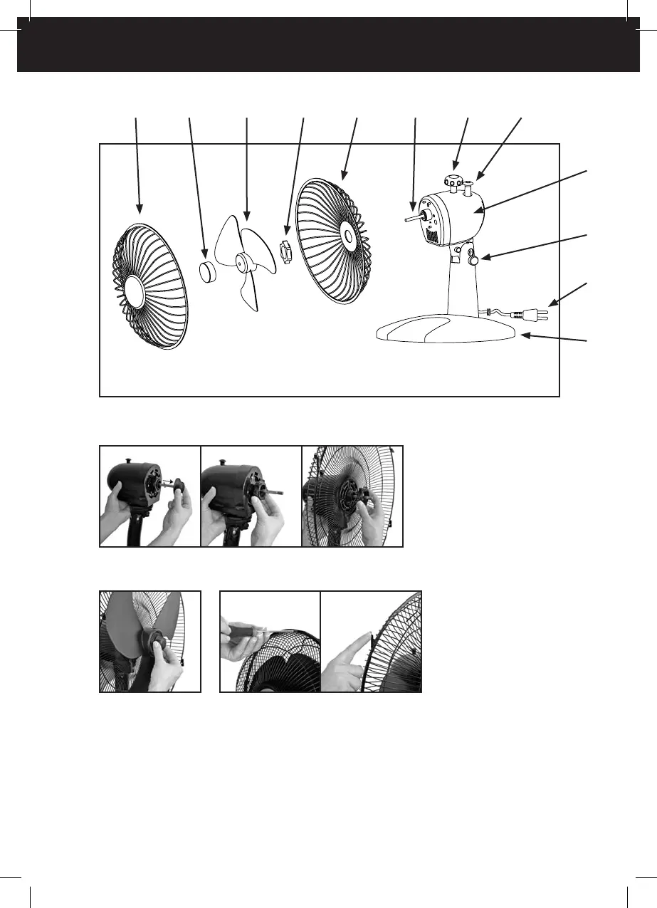 Page #3 background image