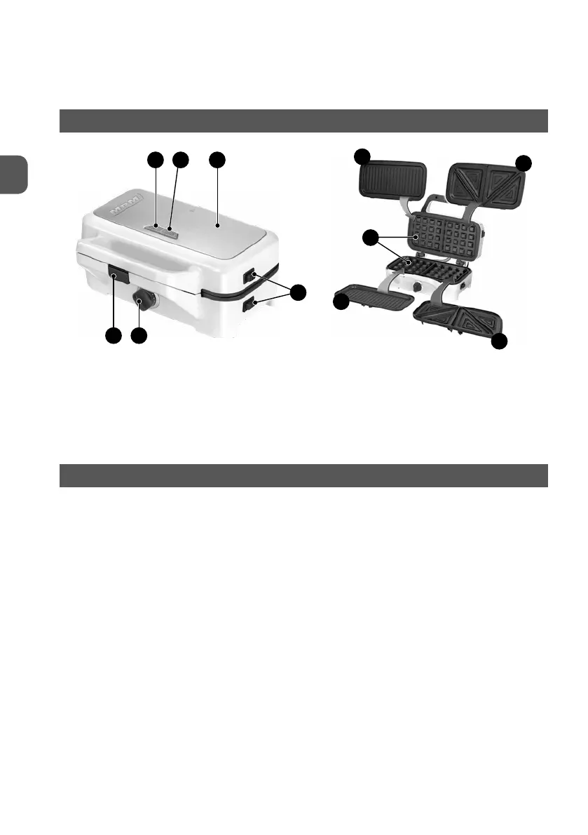 Page #6 background image