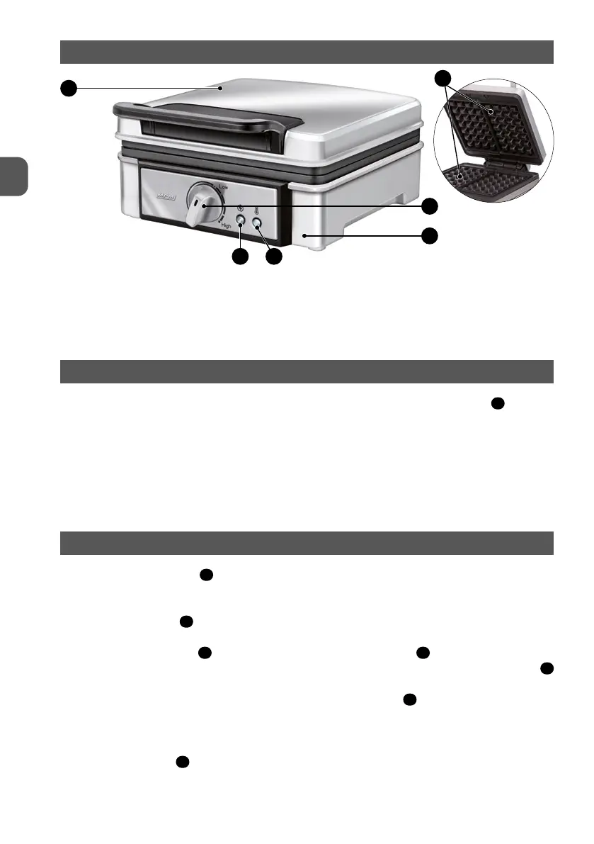Page #6 background image