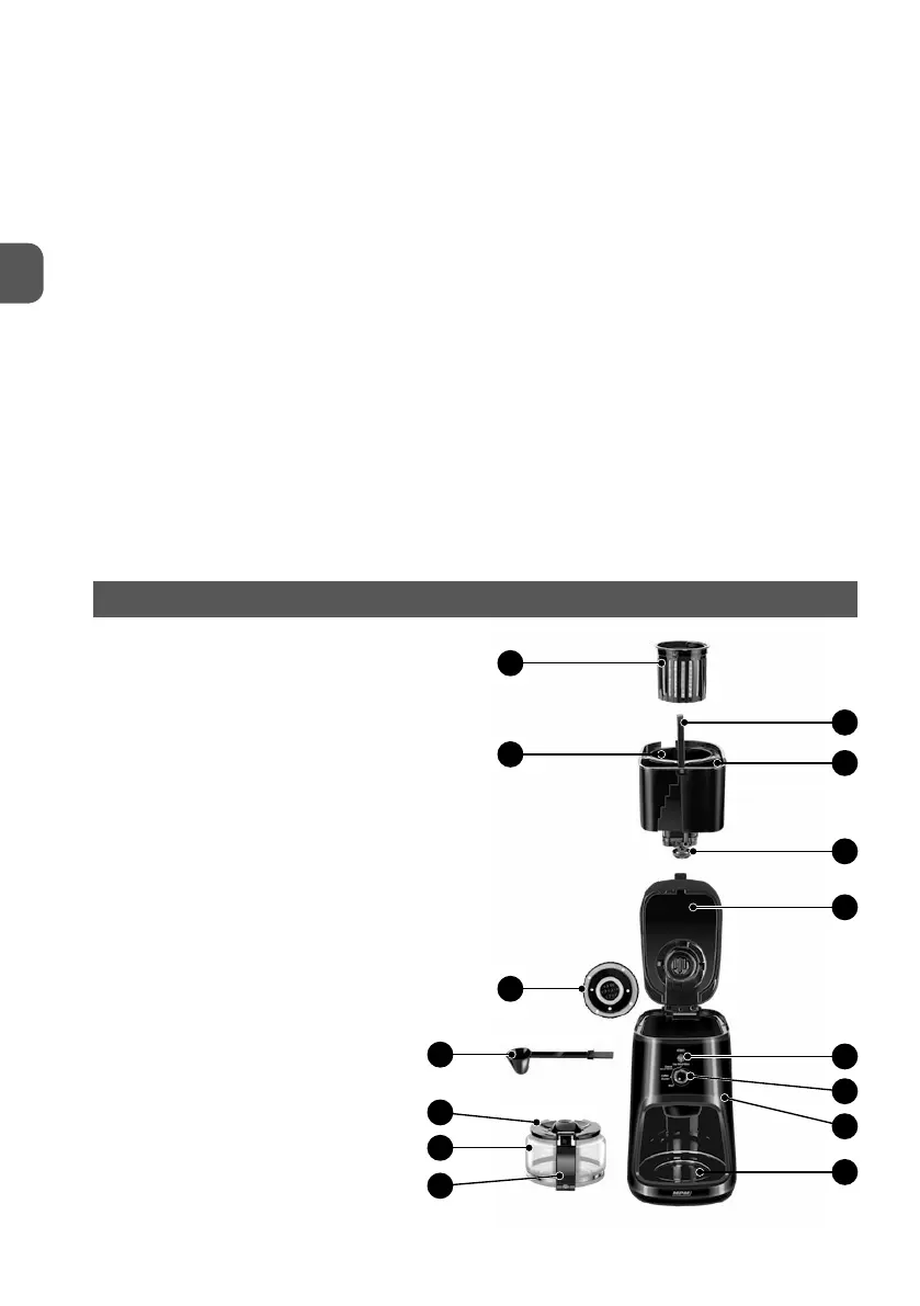Page #4 background image