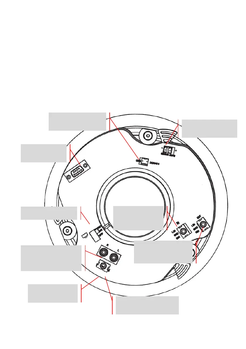 Page #21 background image