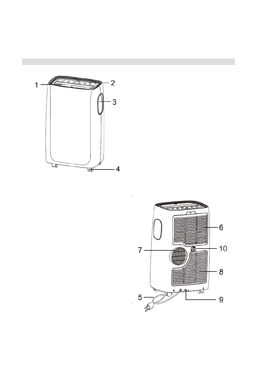 Page #36 background image