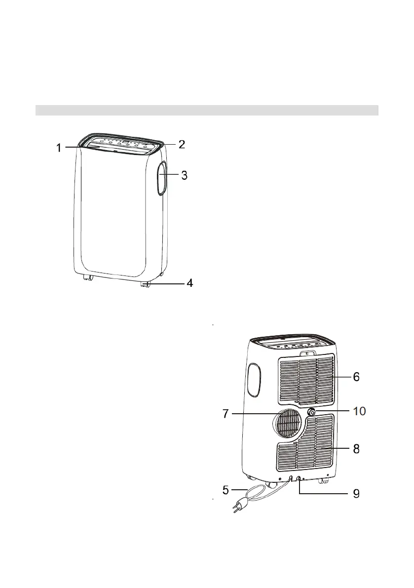 Page #62 background image