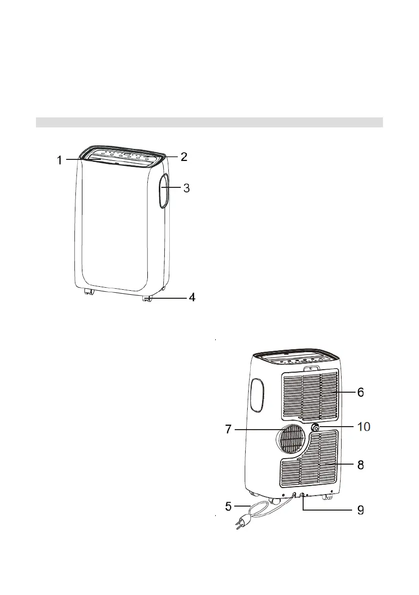 Page #10 background image