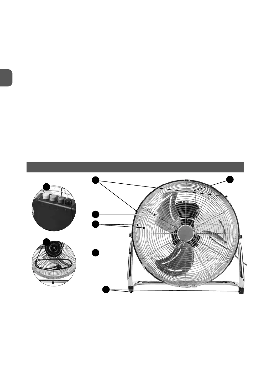 Page #4 background image