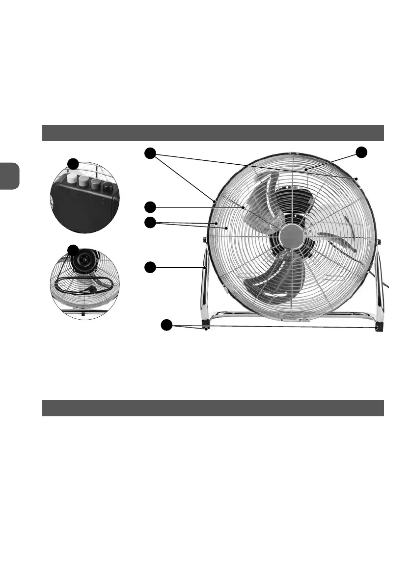 Page #8 background image