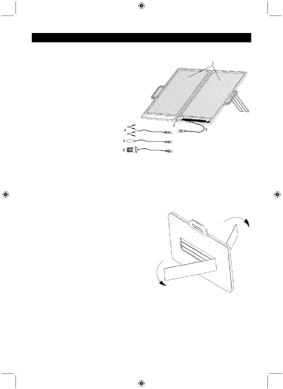Page #17 background image