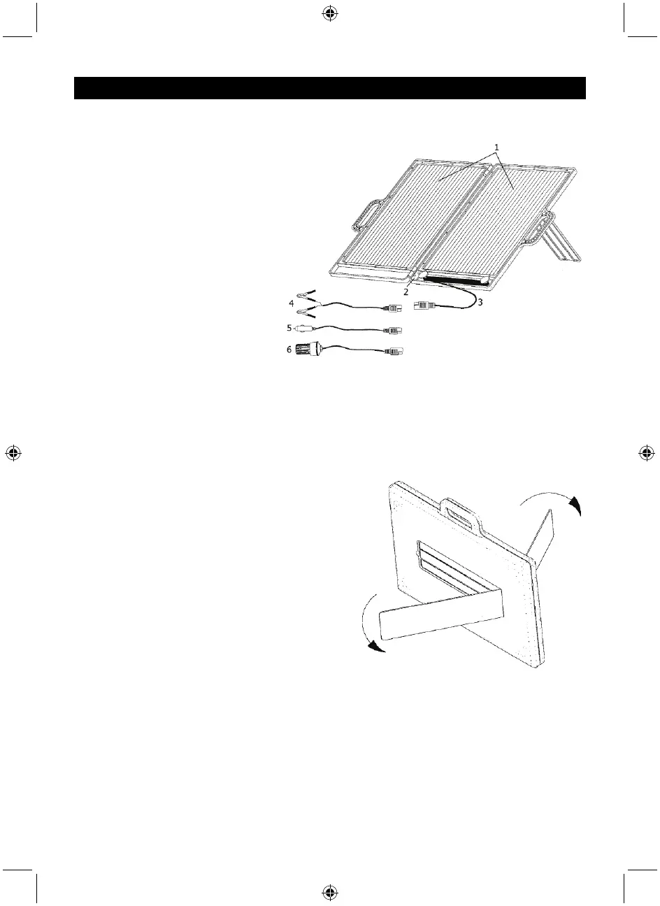 Page #2 background image