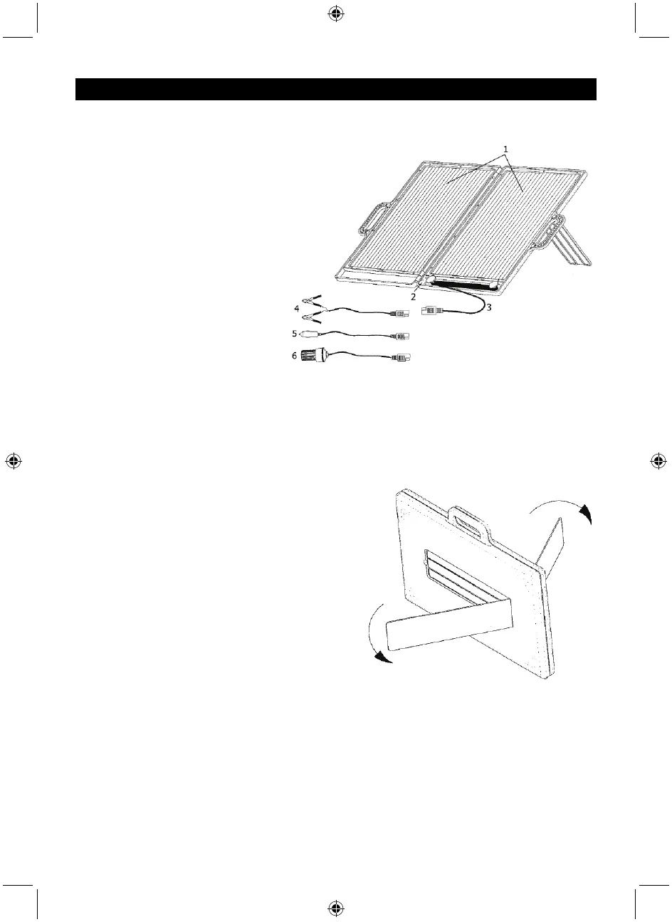 Page #5 background image