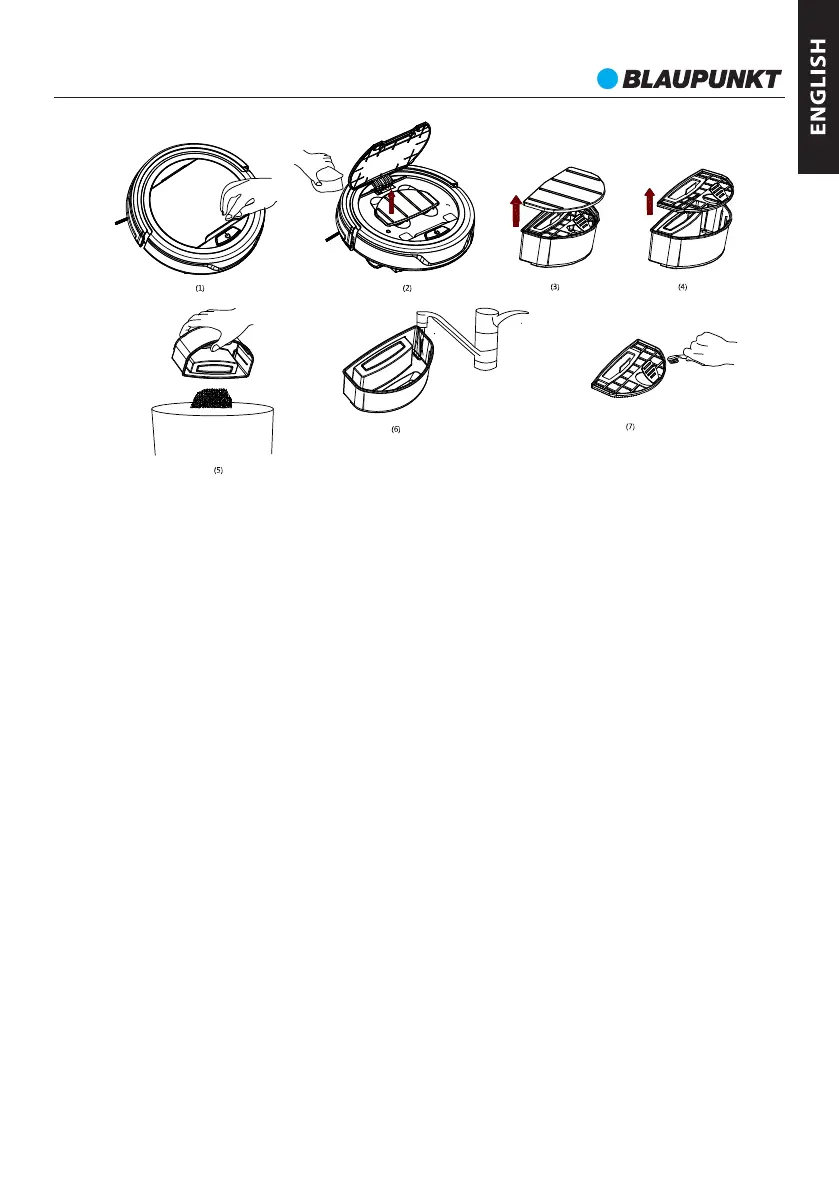 Page #7 background image