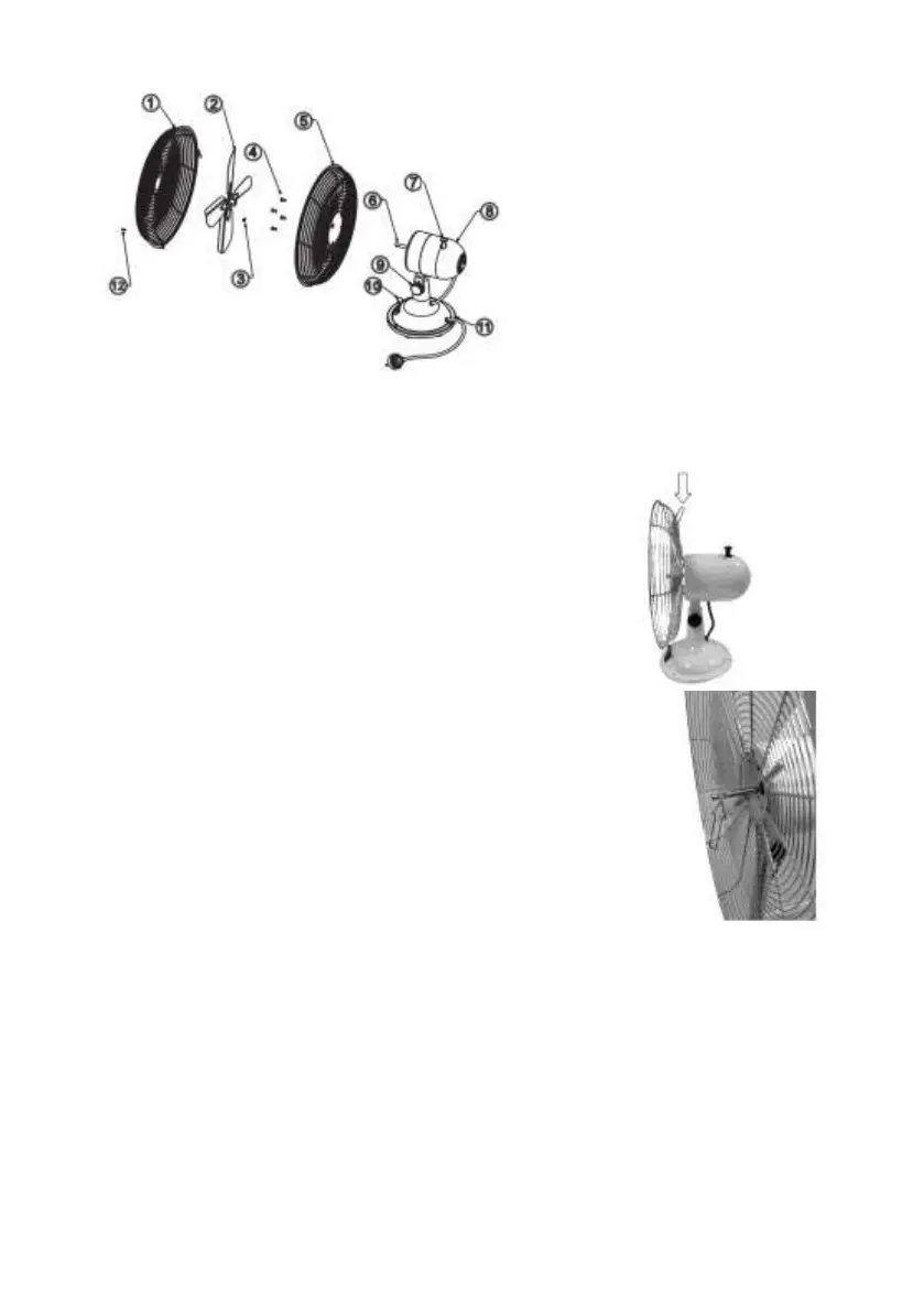 Page #7 background image