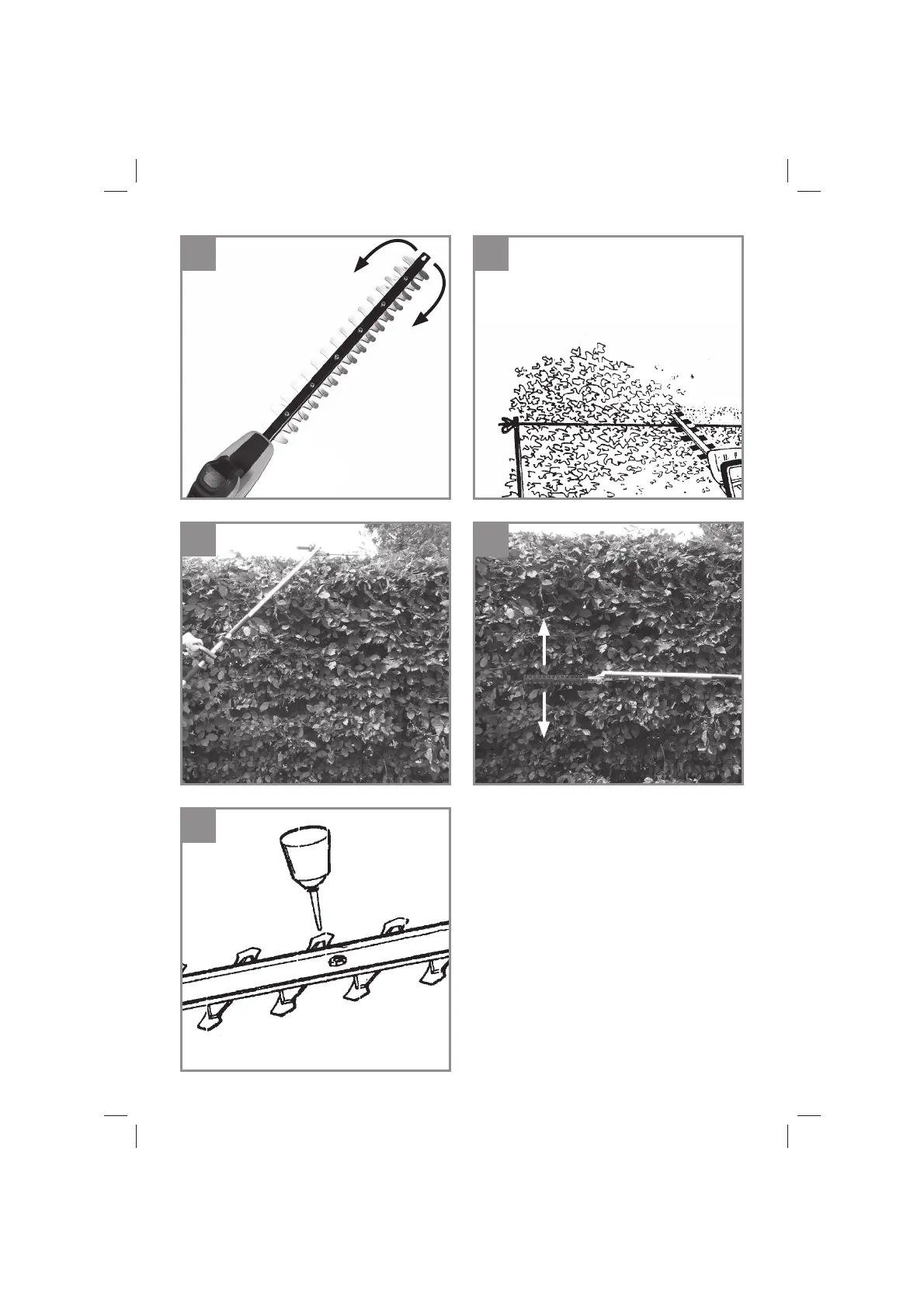 Page #5 background image