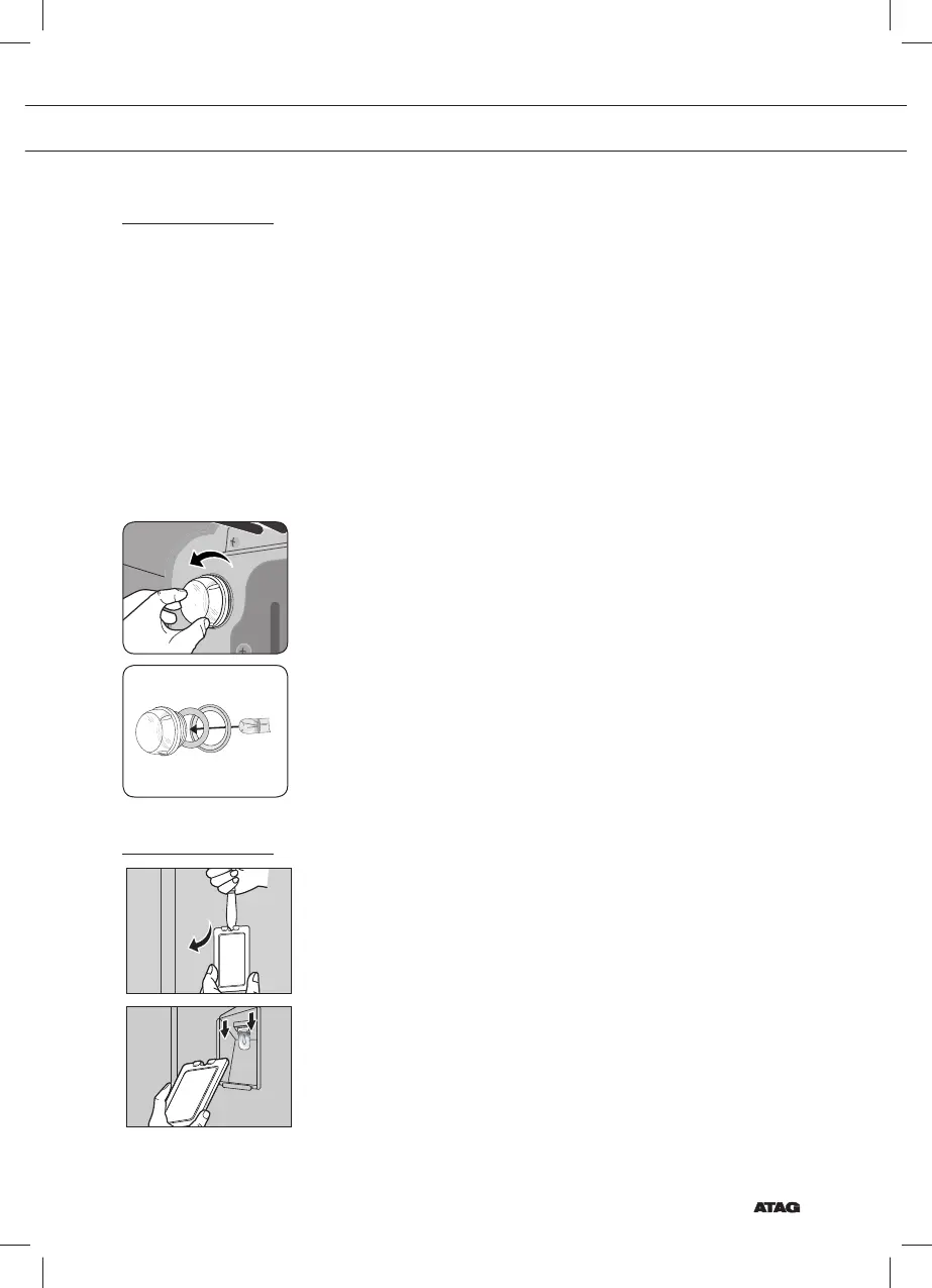 Page #237 background image