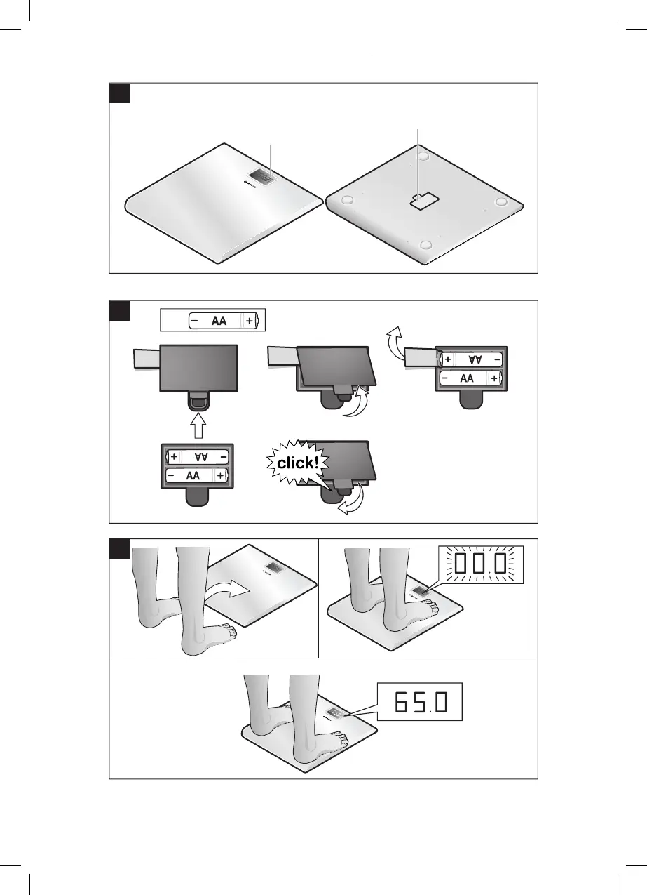 Page #3 background image