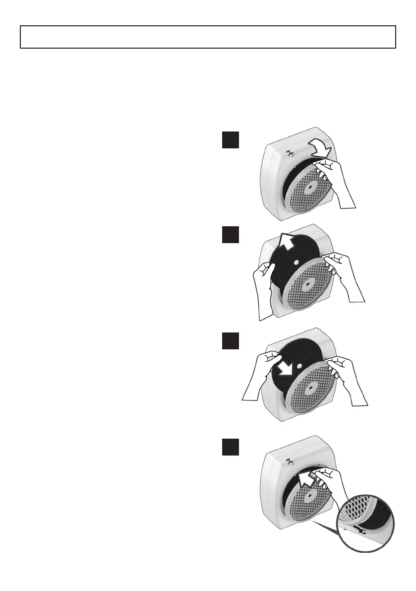 Page #5 background image