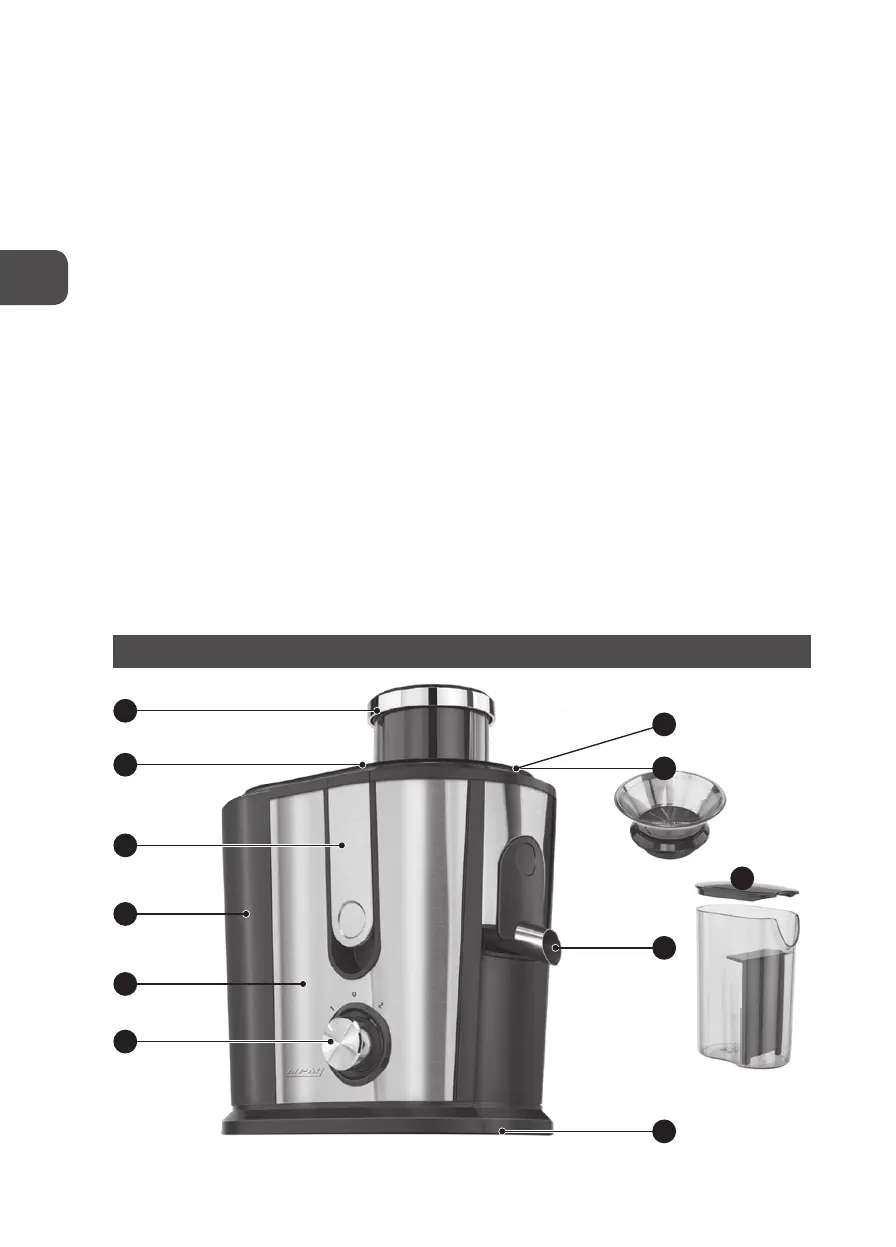 Page #4 background image